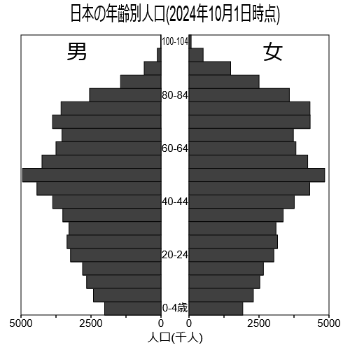 サイトで作成した人口ピラミッド